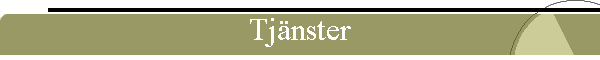 Tjnster