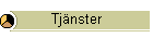 Tjnster