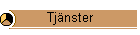 Tjnster